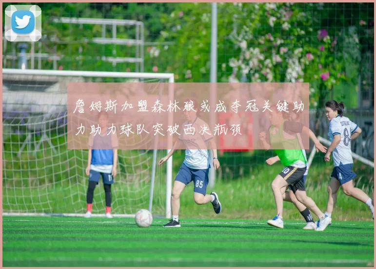 詹姆斯加盟森林狼或成夺冠关键助力助力球队突破西决瓶颈